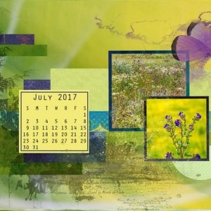 July 07 Desktop  challenge