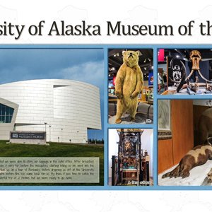 Museum of the North