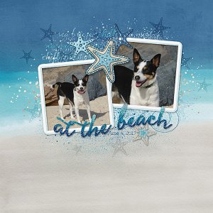 At the Beach