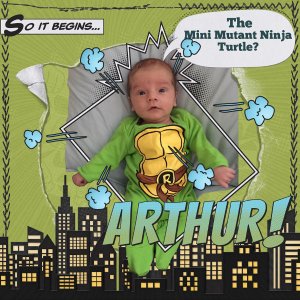 Mini Mutant Ninja Turtle?