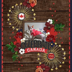 Celebrate Canada
