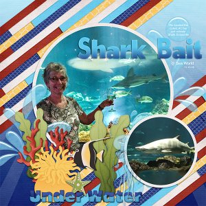 Shark Bait