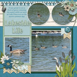 Lakeside Life