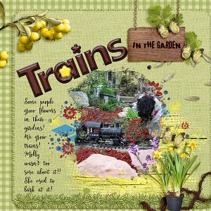 Trains in the Garden