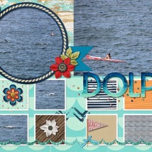 dolphins1
