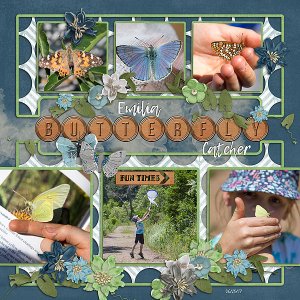 Butterfly Catcher
