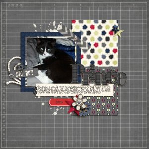 SwL_4_17MIStemp-jss-genuine-boy