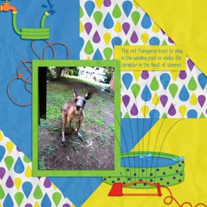 sandie03_HZ Backyard Fun 1