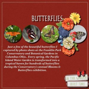 Butterflies