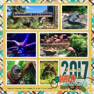 July 2017 Mix It Up Challenge, Riverbanks Zoo