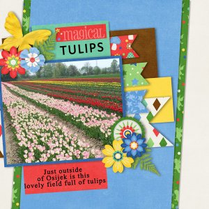 Tulips