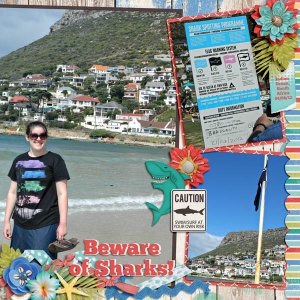 Beware of Sharks!