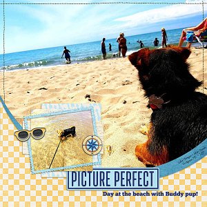 Picture Perfect