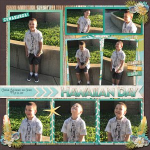 Hawaiian Day