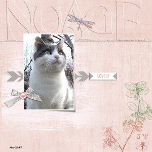 Nuage