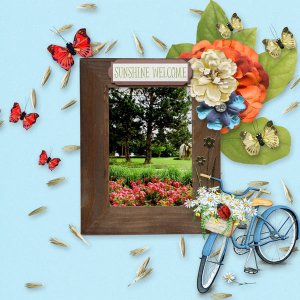 Sunshine Welcome