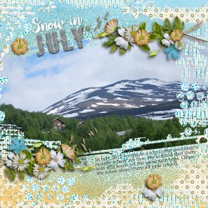 Snow-in-July-fd