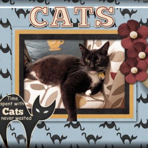 Cats