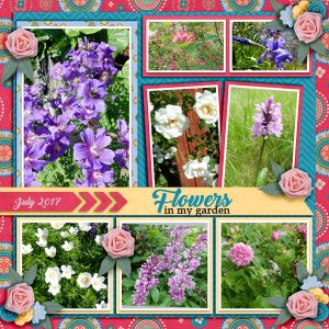 Flowers-in-my-garden