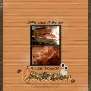 Practice Turkey
