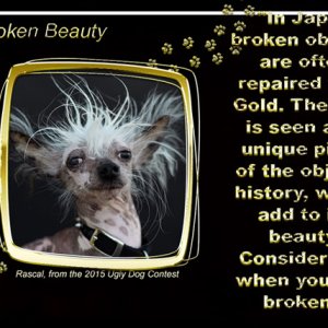 Broken Beauty