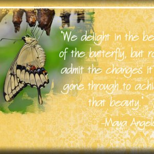 ATC 2017-119 The Butterfly