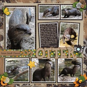 Otter