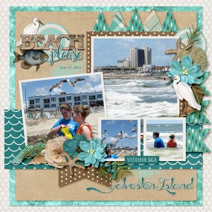 Galveston Island