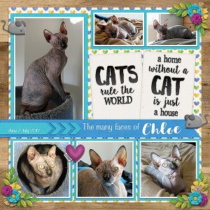 The Many Faces of Chloe