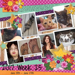 2017 Week 25
