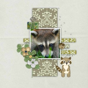 Speed_scrap_hosted_by_SnP
