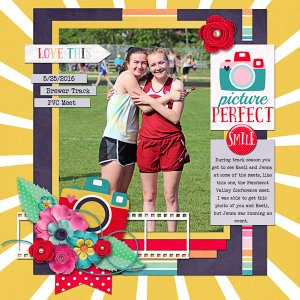 Picture Perfect
