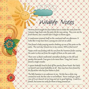 Backyard visitor notes