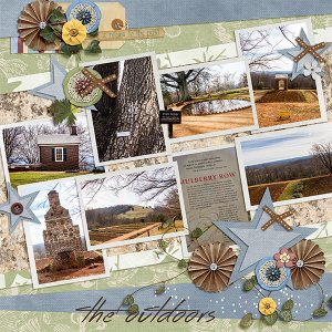 Monticello_6
