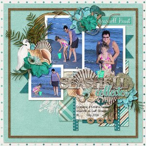 Hunting Seashells