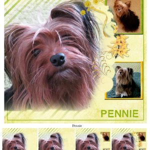 Pennie