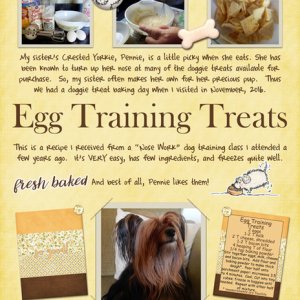 Egg Training Treats
