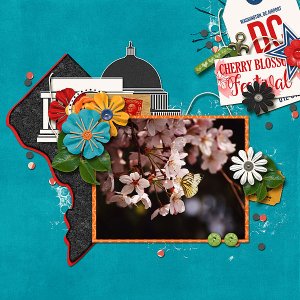 Cherry Blossom Festival