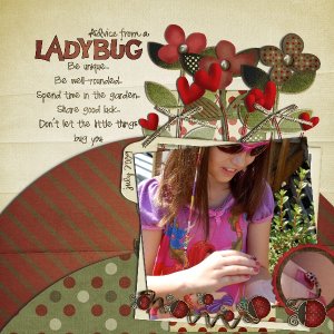 advice from a ladybug