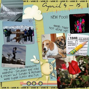 Lisa's Week Fifteen