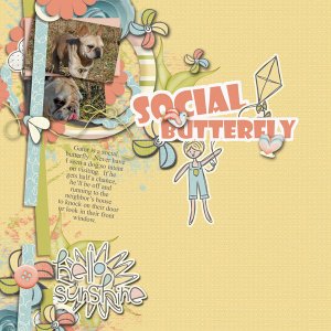 social butterfly