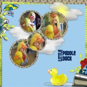 Little Puddle Duck