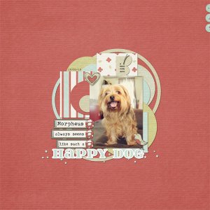 061-04-11-HappyDog
