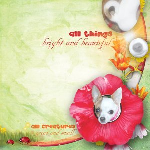 Psychozoe Bright and Beautiful blog train