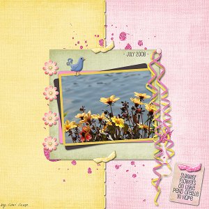 Summer Flowers on Lake Pend Oreille