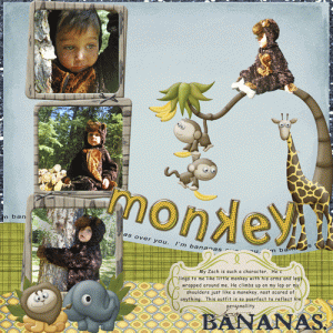 My Monkey