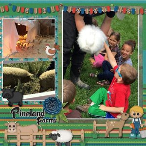 Pineland_Farms