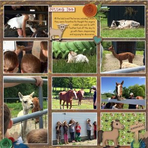 petting_zoo1