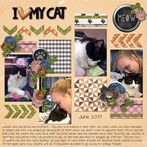 I Love My Cat