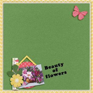 Beauty of flowers